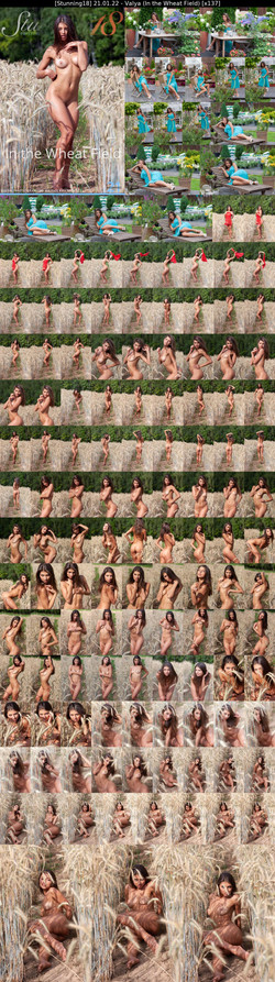 Stunning18.com 2021 Pictures Siterip (481 picsets)/ContactSheets/[Stunning18] 21.01.22 - Valya (In the Wheat Field) [x137].jpg