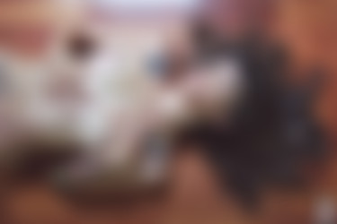 Lolitta/2016-10-10 - give me love/32.jpg