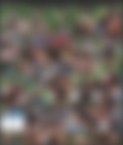 Roberta Sligen aka Tess MegaPack [1080p, 720p]/Screens/hft.10.09.20 Tess suntanned.while.hard.fuck.jpg