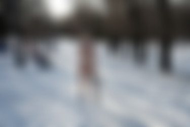 NiR-2023-12-12 - Ornella - Winter water dousing/ (28).jpg