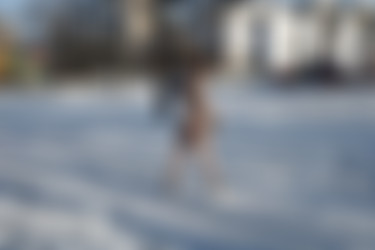 NiR-2023-12-12 - Ornella - Winter water dousing/ (33).jpg