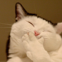 Princess Miki - Enslaved By Porn - Goon Forever