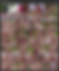 Emelie Crystal/Screens/Anal Models 10 - Fair Play.mp4.jpg