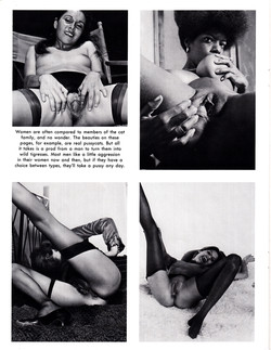 236 Nylon Nymphs 02-02 (12 1975 - 01 02 1976)/014.jpg