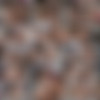 Chandel_danielle_pack/_scr
