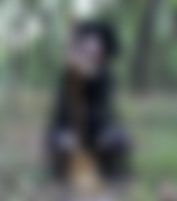 Blunts_and_sushi/2019-03-06 Cryptic Nightshade/08.jpg