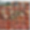 Donna/Videos/Desiderio di Donna
