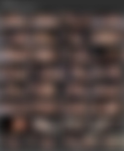 PlayboyTV - FrolicMe Stories_Season 3/screenlists/39.mp4.jpg