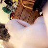 zinaughty thumbnail