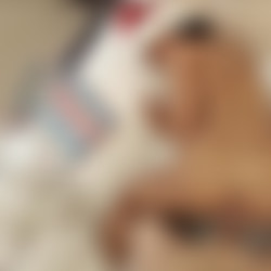 [Jules Jordan] Anal POV (Prostitutes on Video) 1-8 Pack