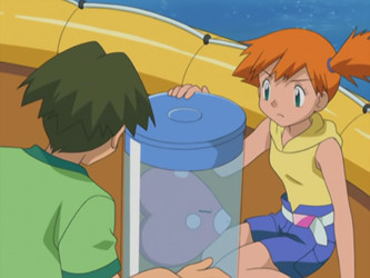 Pokemon.Complete.Series.(Season.01-25+Movies+Specials+Shorts+OST).1080p.BD+Web-Dl.HEVC.10bit.x265.AAC.Eng.Dub.-.Anime.Time/Pokemon Chronicles/[Anime Time] Pokemon Chronicles - 016 - Luvdisc Is A Many Splendored Thing.mkv