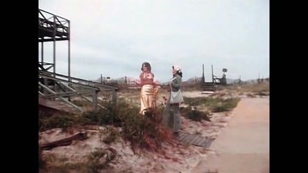 The Tiffany Minx (1981)/The Tiffany Minx (1981).mp4