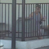PublicViolations.com thumbnail