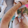 [JadeKink.com] Jade Kink - MegaPACK by SoreForDays thumbnail