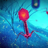 Stalkerbee video thumbnail