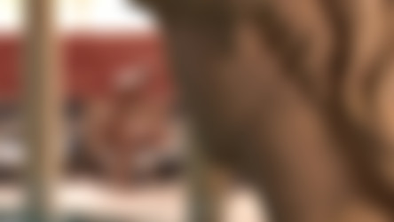 384924.mp4