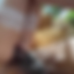 myra_2.mp4
